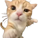 emoji_14