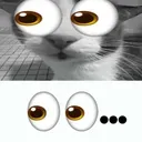 goog_looker