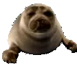 seal