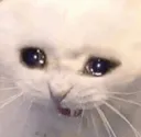 emoji_70