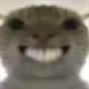 md_a_CatGrin Discord emoji