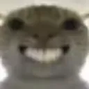 md_a_CatGrin