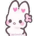 bunnyclapping