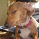 sideeye