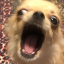 emoji_26 Discord Emoji - Ếch ộp