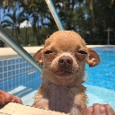emoji_27 custom emote | Ếch ộp