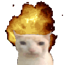 :catboom: