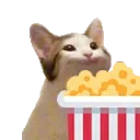 PopCatPopcorn