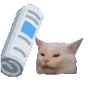 EG_Cat_newspeper_punish