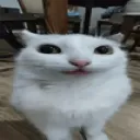 emoji_123