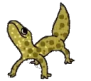 FASTLIZAR