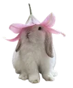 cutebunnylilyhat