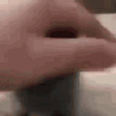 282648pettingcat