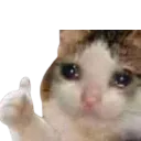 488481catthumbsupsad