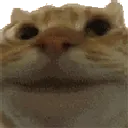 catyep