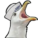 AAAAA AAAAA
