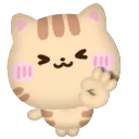 okikitty