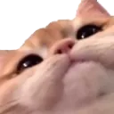 emoji_28