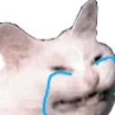 emoji_43