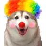 ClownHusky Discord sticker - Homestuck Community