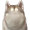 FacelessHusky Discord Emoji from Homestuck Community