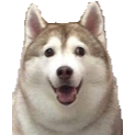 FatHusky Discord Emoji from Homestuck Community