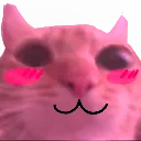 swaguwu
