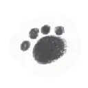 f_01nyasm