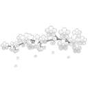 blossom
