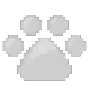 paw