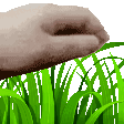 touchgrass animated GIF emoji - The Study Verse