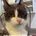 emoji_2 Discord Emoji - 𝘔𝘦𝘰𝘸 :3