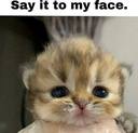 Say_it_to_my_FACE Discord sticker | The 1woners