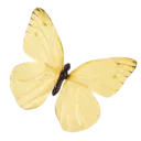Yellow_butterfly_nescafe