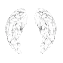 angelwings