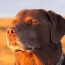 w_peace Discord sticker from Vrindavan | 💗👀