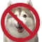 NoHusky Discord Emoji | Homestuck Community