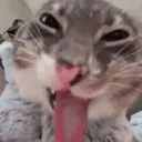 blehhhh blehhhh