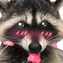 raccoon_2_floppaa Discord emoji