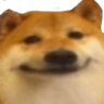 doge_face_floppaa Discord emoji