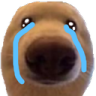 dawg_cry_floppaa Discord emoji