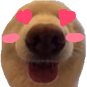 dawg_love_floppaa Discord emoji