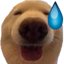 dawg_eh_floppaa Discord emoji