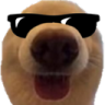 dawg_cool_floppaa Discord emoji