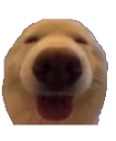 dawg_floppaa Discord emoji