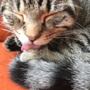 Dexter Discord sticker from Fexs den