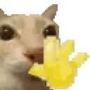 :440591catwave: