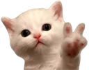 kittenpeace_floppaa Discord emoji