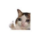 ok_floppaa Discord emoji