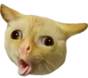 kittycough_floppaa Discord emoji